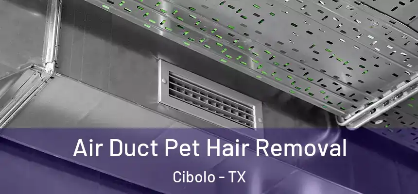  Air Duct Pet Hair Removal Cibolo - TX