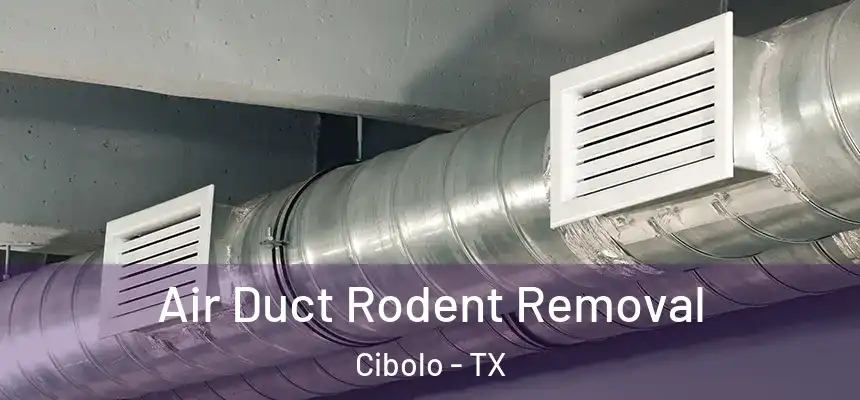  Air Duct Rodent Removal Cibolo - TX