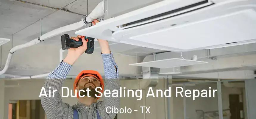  Air Duct Sealing And Repair Cibolo - TX