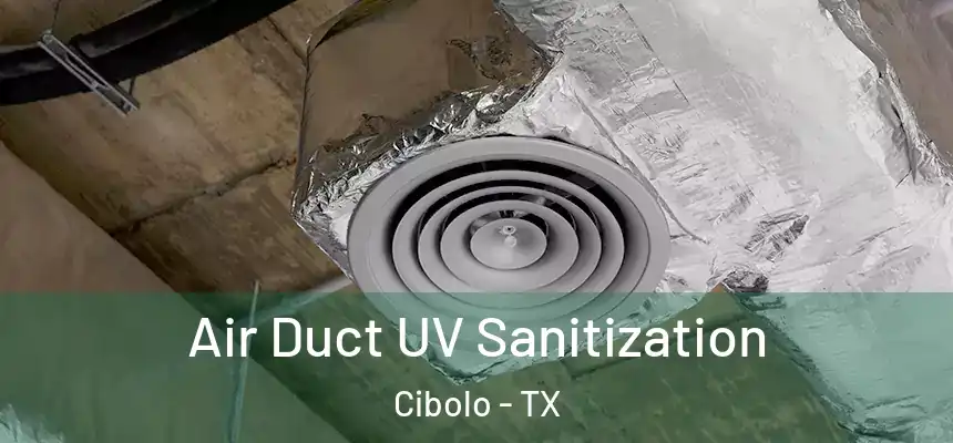  Air Duct UV Sanitization Cibolo - TX