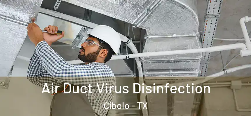  Air Duct Virus Disinfection Cibolo - TX