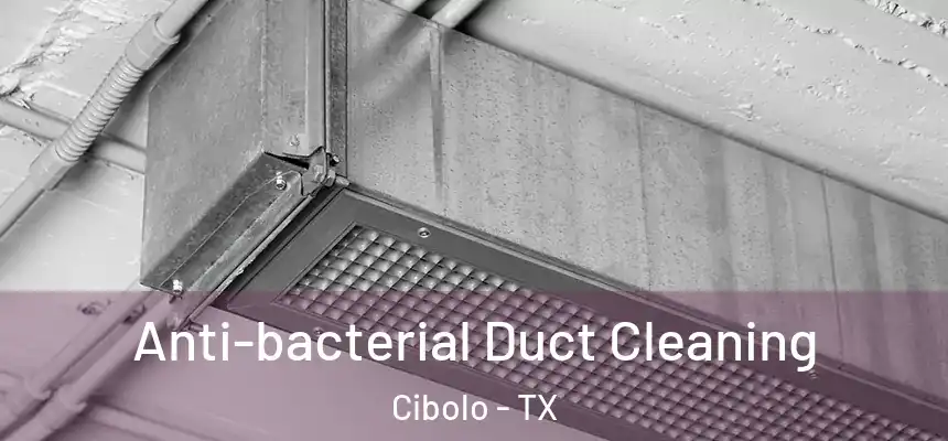  Anti-bacterial Duct Cleaning Cibolo - TX