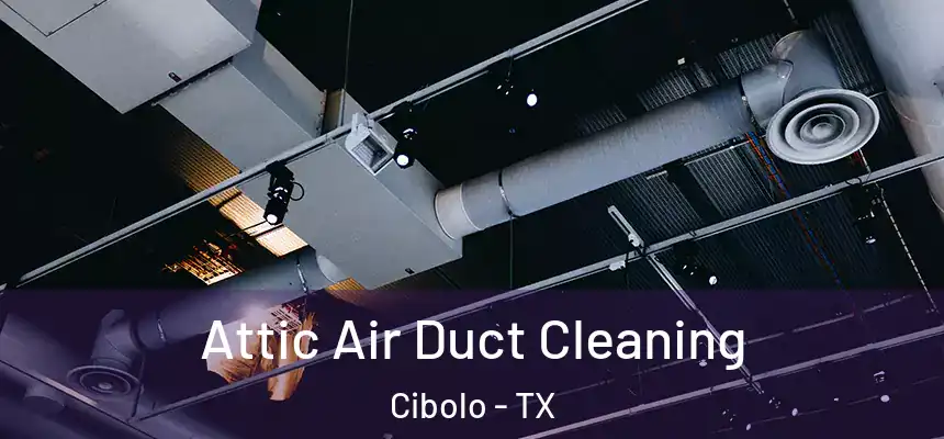  Attic Air Duct Cleaning Cibolo - TX