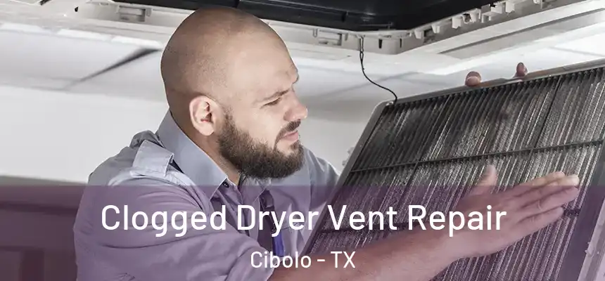  Clogged Dryer Vent Repair Cibolo - TX