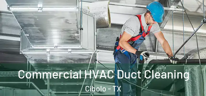  Commercial HVAC Duct Cleaning Cibolo - TX