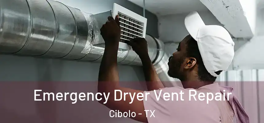  Emergency Dryer Vent Repair Cibolo - TX