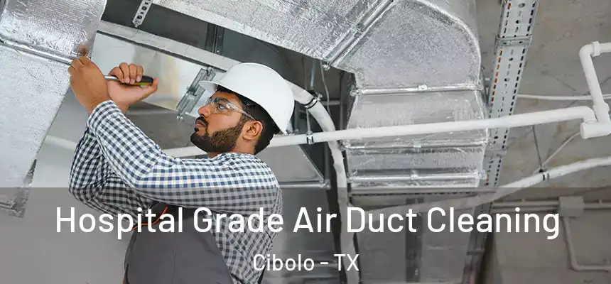  Hospital Grade Air Duct Cleaning Cibolo - TX