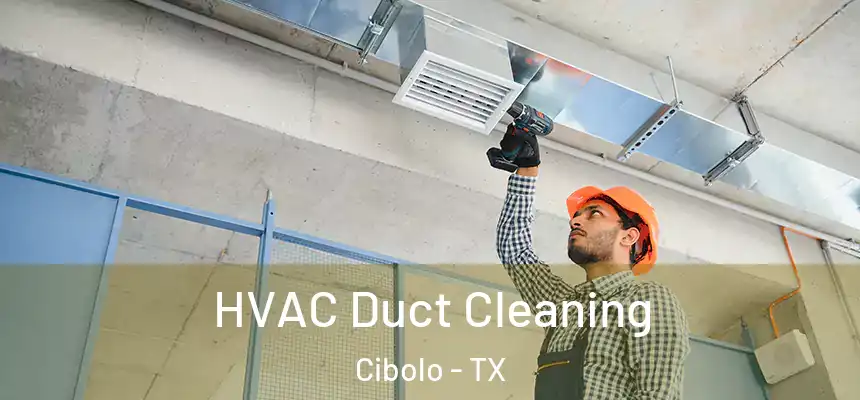  HVAC Duct Cleaning Cibolo - TX