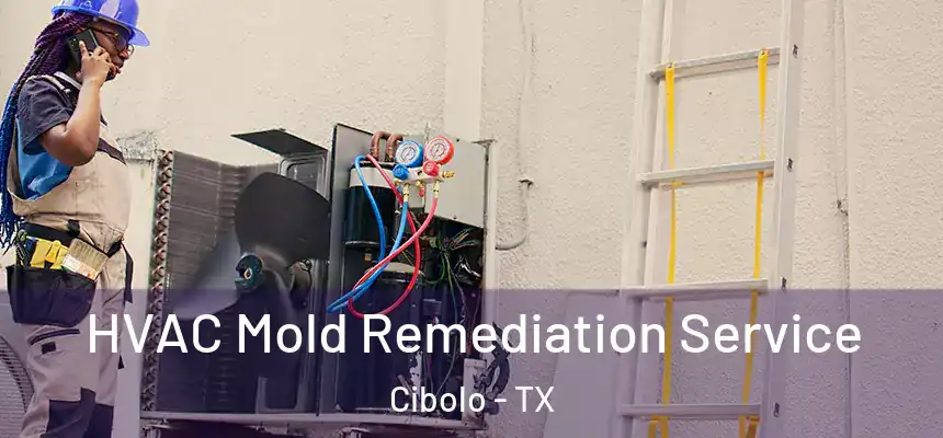  HVAC Mold Remediation Service Cibolo - TX