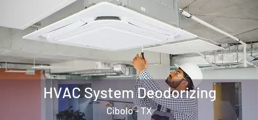  HVAC System Deodorizing Cibolo - TX