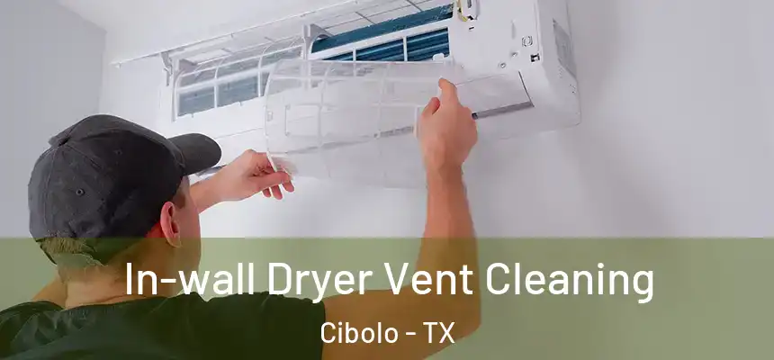  In-wall Dryer Vent Cleaning Cibolo - TX