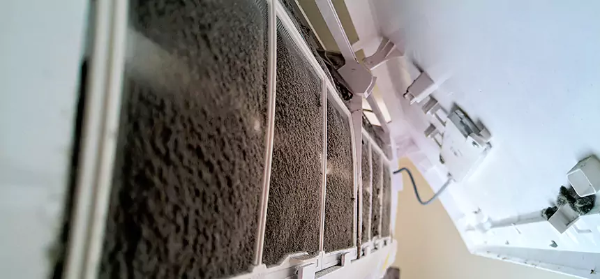 Preventive Air Duct Bacteria Removal in Cibolo