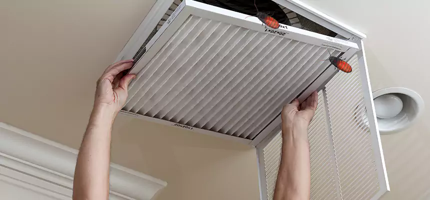 Preventive Cockroach-Proofing for Ducts in Cibolo