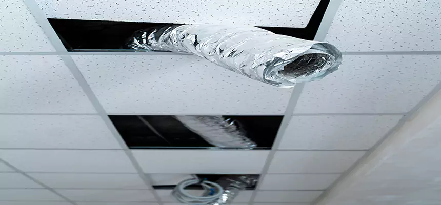 Affordable HVAC Sanitizing After Pest Removal in Cibolo