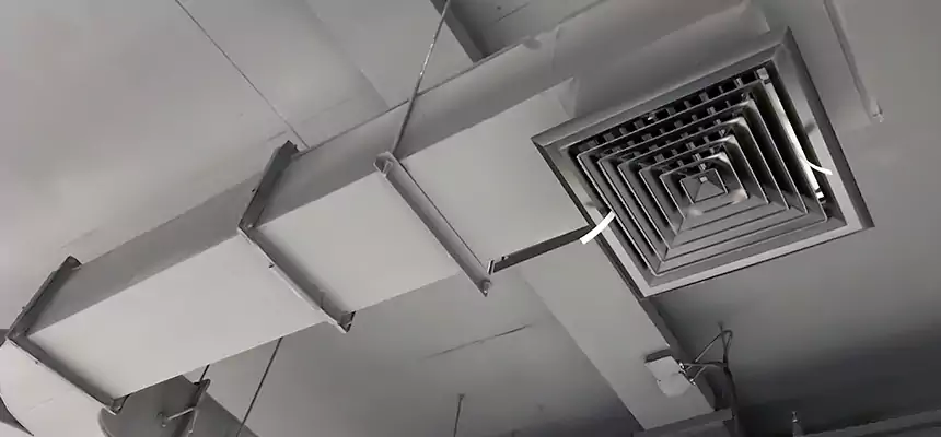 Restorative Allergy Relief Vent Cleaning – Coil, Blower & Housing Detail in Cibolo