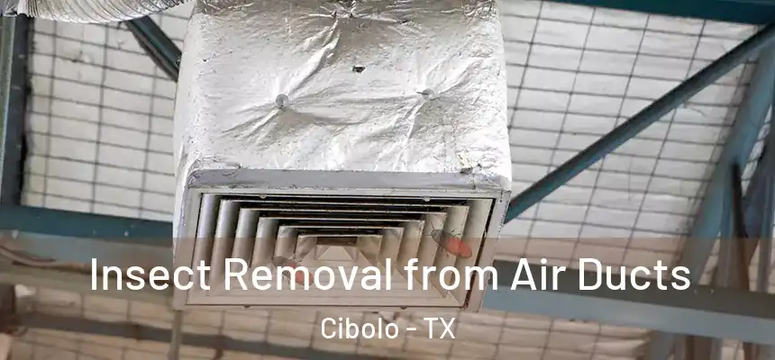  Insect Removal from Air Ducts Cibolo - TX