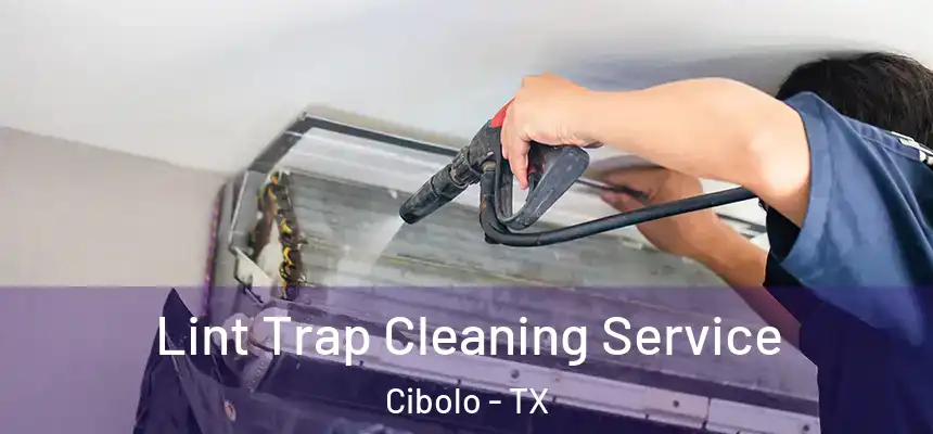  Lint Trap Cleaning Service Cibolo - TX