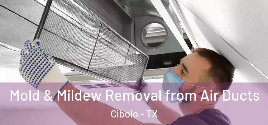  Mold & Mildew Removal from Air Ducts Cibolo - TX
