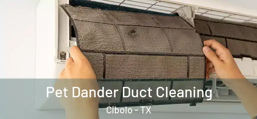  Pet Dander Duct Cleaning Cibolo - TX