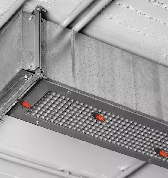 Affordable Insect Removal from Air Ducts in Cibolo, TX