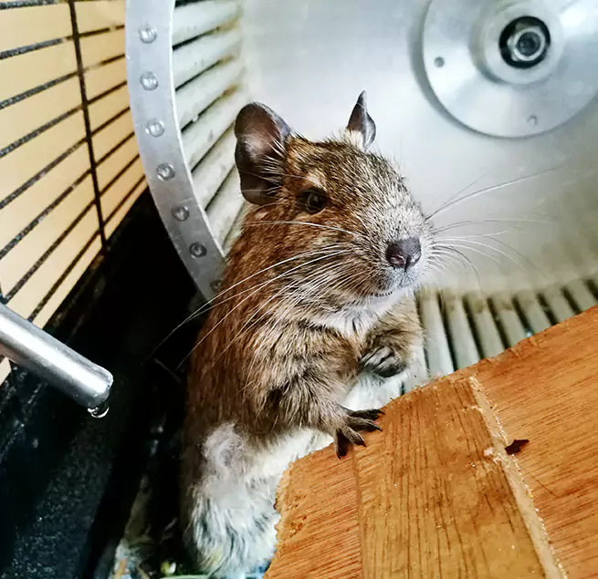 Why Homeowners & Businesses Trust Us Cibolo, TX