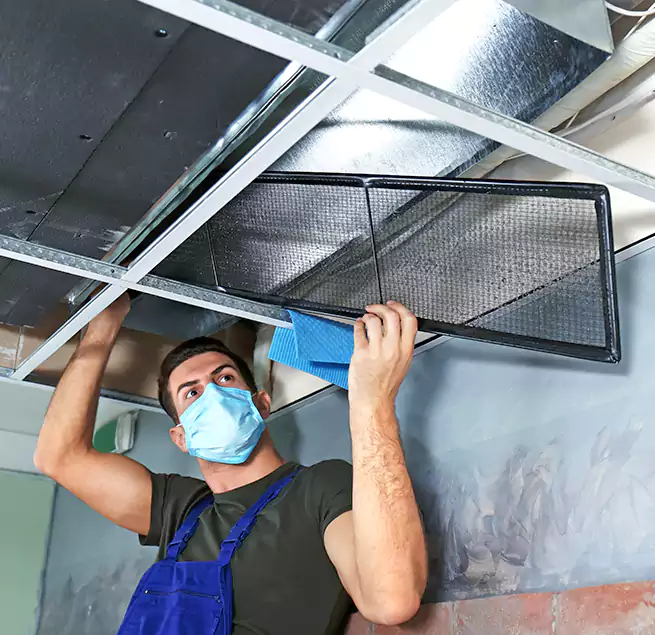 Why Homeowners Businesses Trust Us in Cibolo, TX