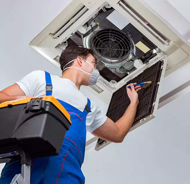 Why Homeowners & Businesses Trust Us in Cibolo, TX