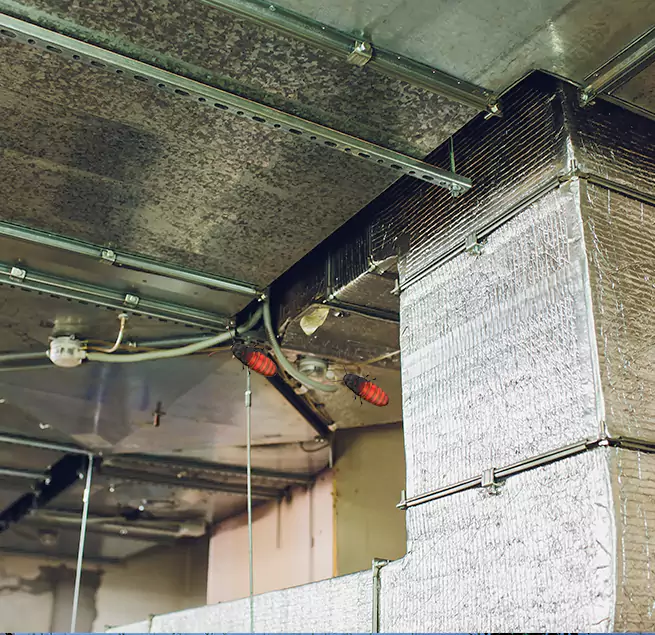 Why Homeowners & Businesses Trust Us Cibolo, TX?