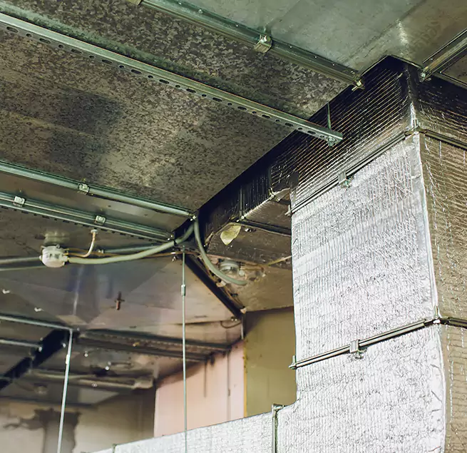 Why Homeowners & Businesses Trust Us in Cibolo, TX?