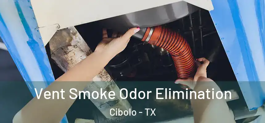  Vent Smoke Odor Elimination Cibolo - TX